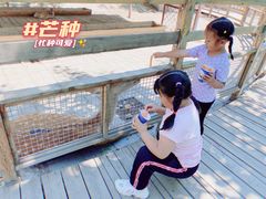 -北京鹿世界主题园