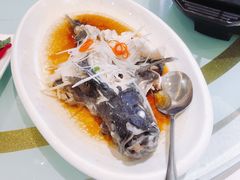 石斑鱼-金春禧(英雄山路旗舰店)