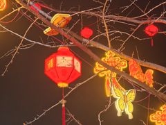 -鱼满舱·鲜活海鲜·正宗鲁菜