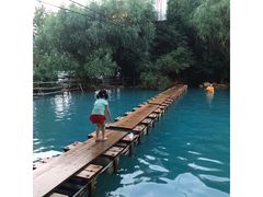 -大鹅岛绿色生态美食园