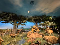 -国家自然博物馆