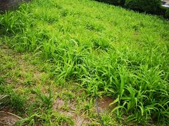 -维客超市(胶南店)
