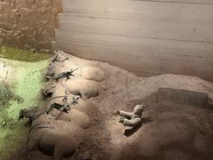 -秦始皇帝陵博物院-丽山园