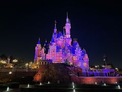 -上海迪士尼度假区