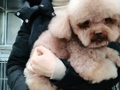 -宠福鑫康馨动物医院·骨科·眼科