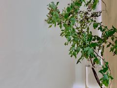 -铁手珈琲制造局metalhands(望京店)