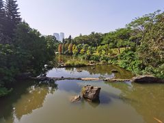 -云溪植物园