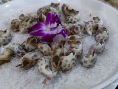-张家卫·阳江菜·小海鲜(肥婆湾桥店)