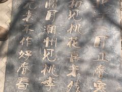 -桃花堤公园