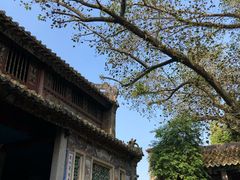 -国恩寺