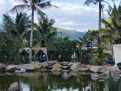 -精酿农场Brew Farm·沙漠绿洲餐厅