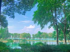 -金银湖国家城市湿地公园