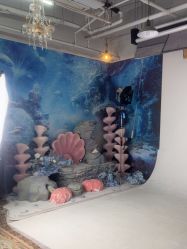 -贝影FACE亲子摄影(宁波区总店)