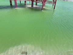 -盐湖景区