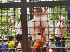 -中国福利会少年宫