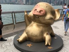 -星光大道