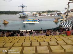 -秦皇岛乐岛海洋王国