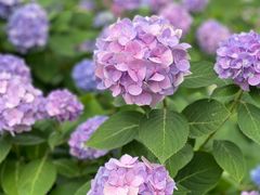 -常州古运河南大街文化旅游区-人民公园