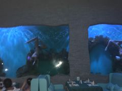 -瑞德姆美人鱼海底演艺主题餐厅(亚龙湾店)