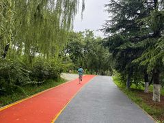 -大兴滨河森林公园