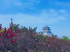 -莲花池公园