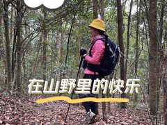-火炉山森林公园