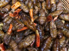 -昆虫窝子·特色云南菜(拓东路总店)