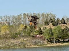 -东郊湿地公园
