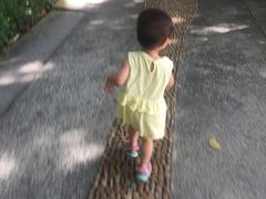 -福神岗公园