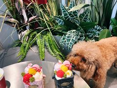 -哈根达斯(南京德基广场店)