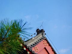 -天津市峰山药王古寺