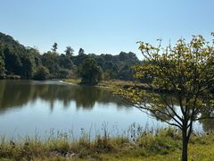 -福建鲤鱼洲酒店