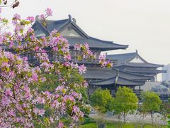 -海珠湖公园
