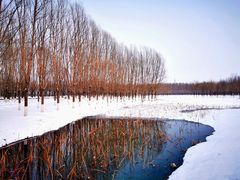 -东郊湿地公园
