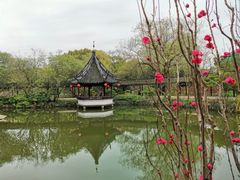 -上海醉白池公园