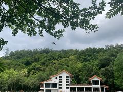 -深圳仙湖植物园