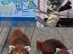 -青藏高原野生动物园