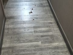 -王朝大酒店徐汇店-地面停车场