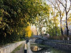 -山东大学(洪家楼校区)