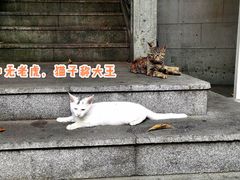 -白云山索道-售票处