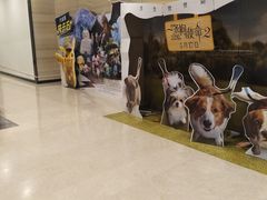 -博纳国际影城(温州5050IMAX店)