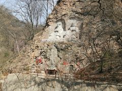 -天女山森林公园