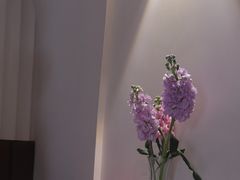 -晶雅花园西餐厅(南京首店)