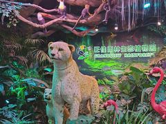 -正佳雨林生态植物园