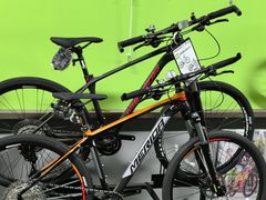 -道路口单车爱瓦士dahon大行