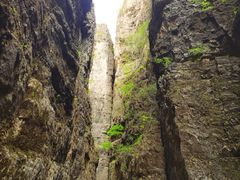 -野三坡百里峡景区