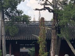 -汇龙潭