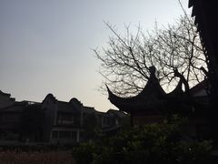 -龙潭水乡