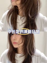 -蚂蚁造型俱乐部