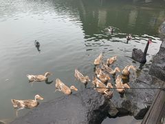 -上海怡沁园度假酒店
